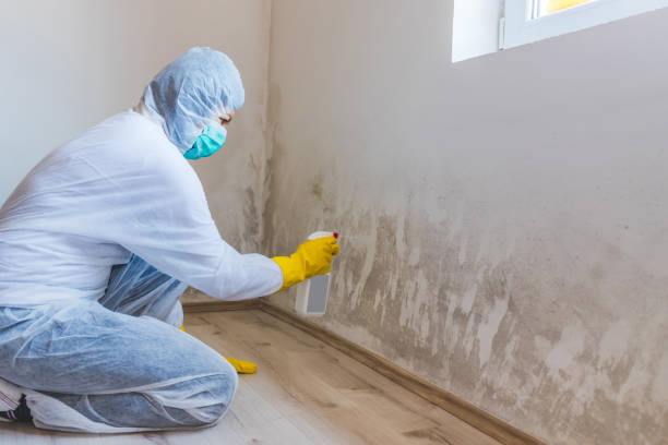 Licensed Bathroom Mold Removal service in Millburn, NJ - WQB Mold Removal