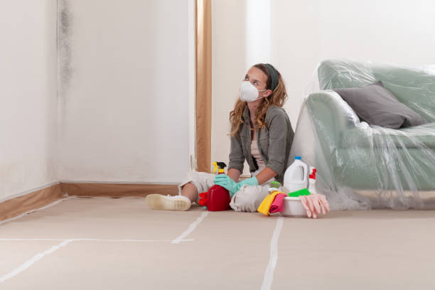 Reliable Bathroom Mold Removal contractor in Millburn, NJ by WQB Mold Removal